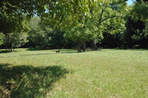 2114 Marshall Hall_field3