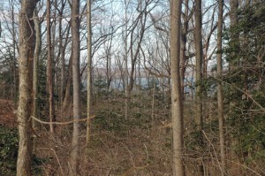 Borchelt_river view_closeup_sm