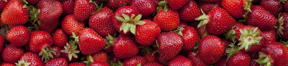 iStock_000016776567_Medium