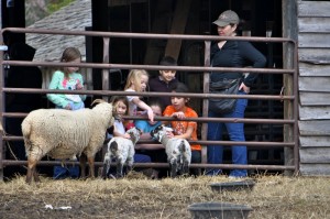 web_DSC_6897_2-small-300x199